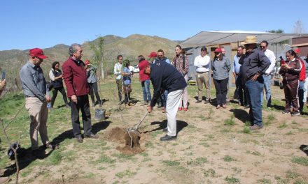 EN COMUNIDAD KUMIAI EL PRIMER JARDÍN ETNOBOTÁNICO
