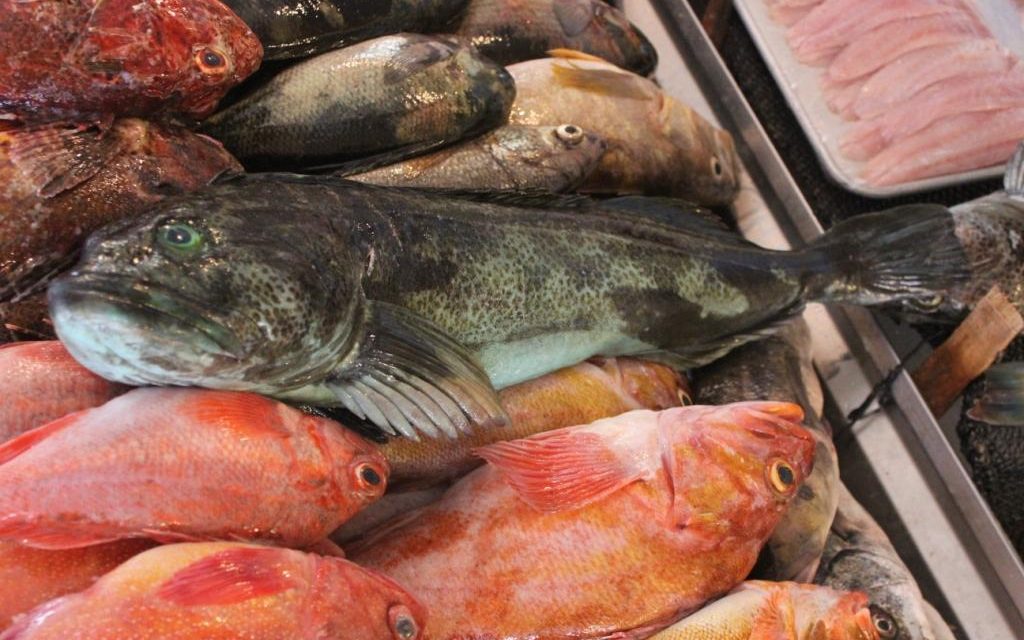 RECOMENDACIONES PARA SELECCIONAR PRODUCTOS DEL MAR