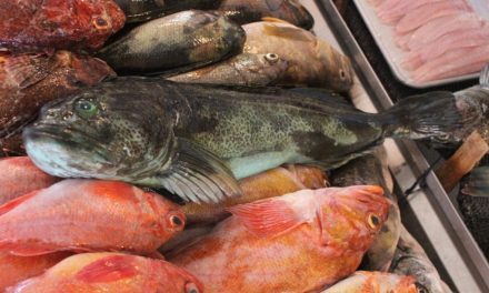 RECOMENDACIONES PARA SELECCIONAR PRODUCTOS DEL MAR