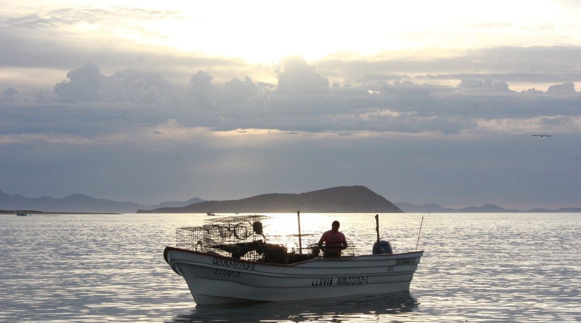 ALERTA POR MAREA ROJA EN ALGUNOS POLÍGONOS DEL ALTO GOLFO