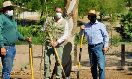 REFORESTAN EL BOSQUE Y ZOOLÓGICO DE MEXICALI