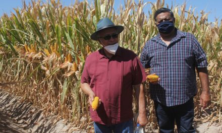 APOYOS DEL PROGRAM,A DE RECONVERSIÓN PRODUCTIVA 