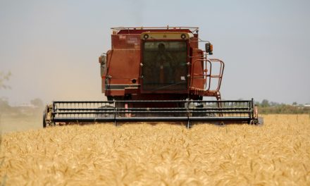 BUSCAN SANEAR CARTERA VENCIDA DE PRODUCTORES DEL VALLE DE MEXICALI