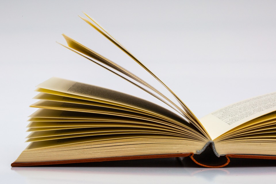 ACERVO DE 2,000 TÍTULOS EN SALA DE LECTURA “RUBÉN VIZCAÍNO VALENCIA” 