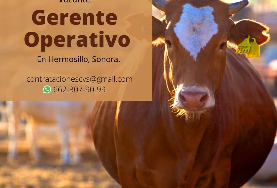 ¡OPORTUNIDAD DE EMPLEO EN HERMOSILLO!