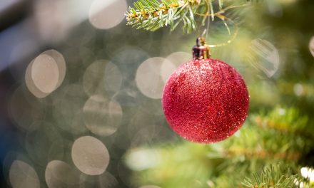 EL IMPACTO ECOLÓGICO DEL ÁRBOL NAVIDEÑO 