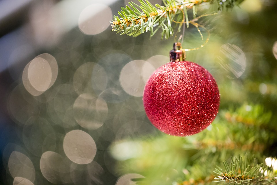 EL IMPACTO ECOLÓGICO DEL ÁRBOL NAVIDEÑO 