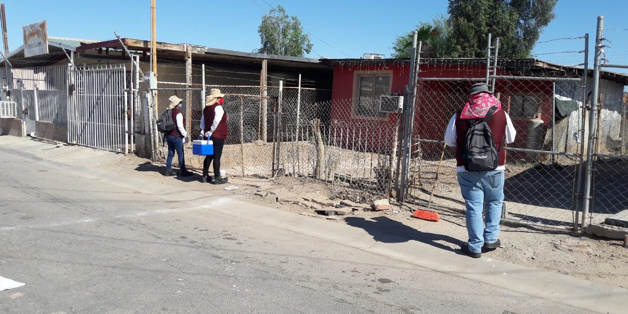 ATIENDEN A MÁS DE 22 MIL VIVIENDAS PARA PREVENIR LA GARRAPATA