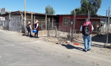 ATIENDEN A MÁS DE 22 MIL VIVIENDAS PARA PREVENIR LA GARRAPATA