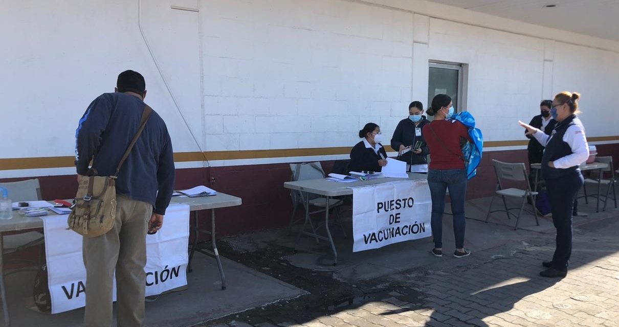 BUSCAN COMPLEMENTAR ESQUEMAS DE VACUNACIÓN EN MEXICALI  