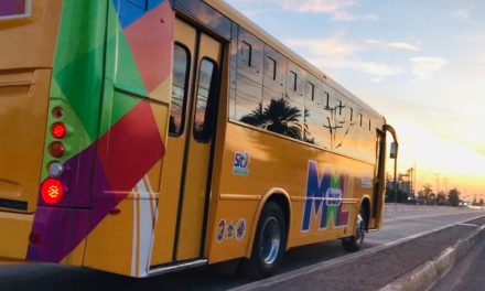 VIGENTE TARIFA PROMOCIONAL DEL TRANSPORTE PÚBLICO EN 14 PESOS