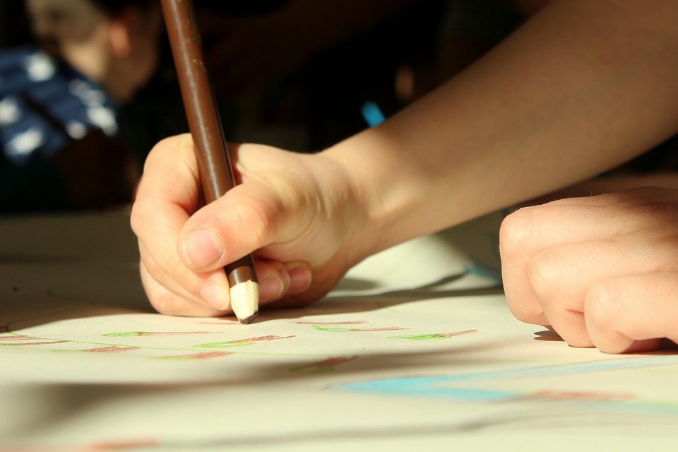 APLICA PARA LOS HOGARES EL SEGURO DE ESTUDIANTES DE EDUCACIÓN BÁSICA