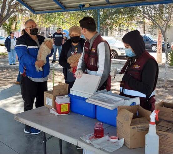 APLICARÁN VACUNA ANTIRRÁBICA EN PARQUES PÚBLICOS 