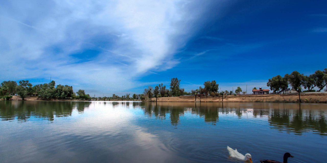 AL RESCATE DEL SISTEMA LAGUNAR DE MEXICALI 
