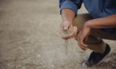 ES “FEBRERO: MES DE LA SALUD DEL HOMBRE”  