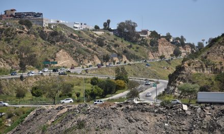 VIADUCTO Y TREN INTERURBANO PARA TIJUANA