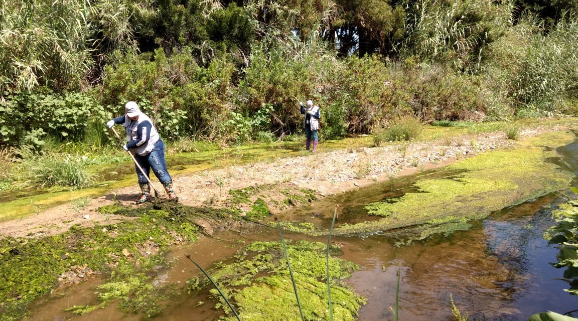 ACCIONES PARA EVITAR CASOS DE PALUDISMO 