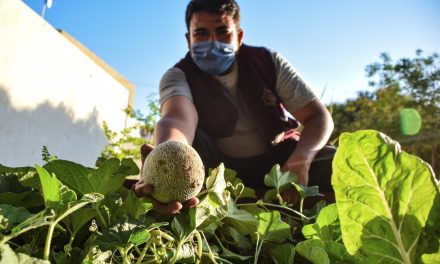 ASÍ FUNCIONAN LOS HUERTOS Y GRANJAS FAMILIARES EN BC