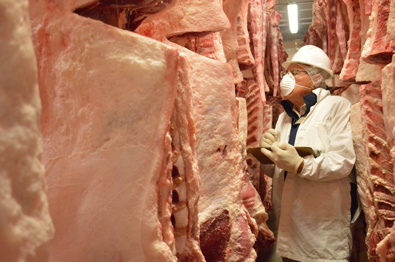 PROGRAMA DE CERTIFICACIÓN DE CARNE BOVINA EN BC