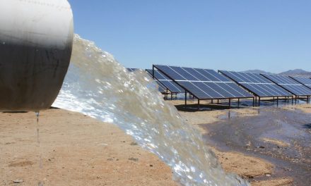HAY POTENCIAL AGRÍCOLA EN VALLE CHICO Y LAGUNA SALADA
