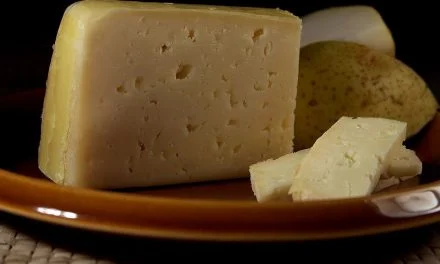 RECOMENDACIONES PARA PREVENIR LA BRUCELOSIS  