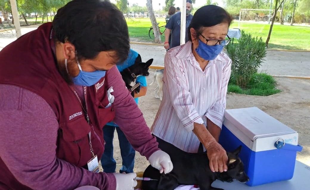 SIN REGISTRAR CASOS DE RABIA EN BC