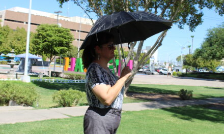 A REFORZAR MEDIDAS PARA EVITAR AFECTACIONES POR EL CALOR 