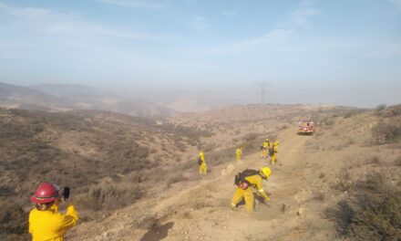 LABORES DE PREVENCIÓN DE INCENDIOS EN BC