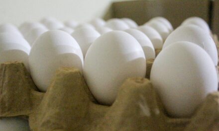 VERIFICAN EL HUEVO QUE SE COMERCIALIZA EN BC