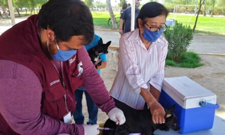 VACUNACIÓN ANTIRRÁBICA DE FORMA PERMANENTE 