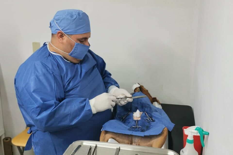 MÁS DE 5 MIL ESTERILIZACIONES GRATUITAS A MASCOTAS