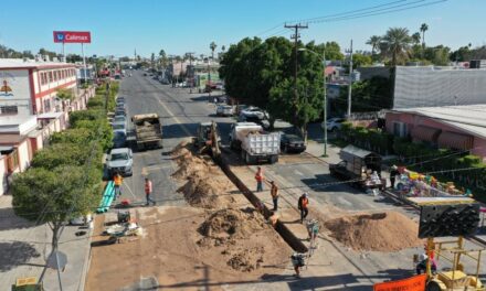 OBRAS DE REPOSICIÓN EN AVENIDA ZARAGOZA DE LA COLONIA NUEVA
