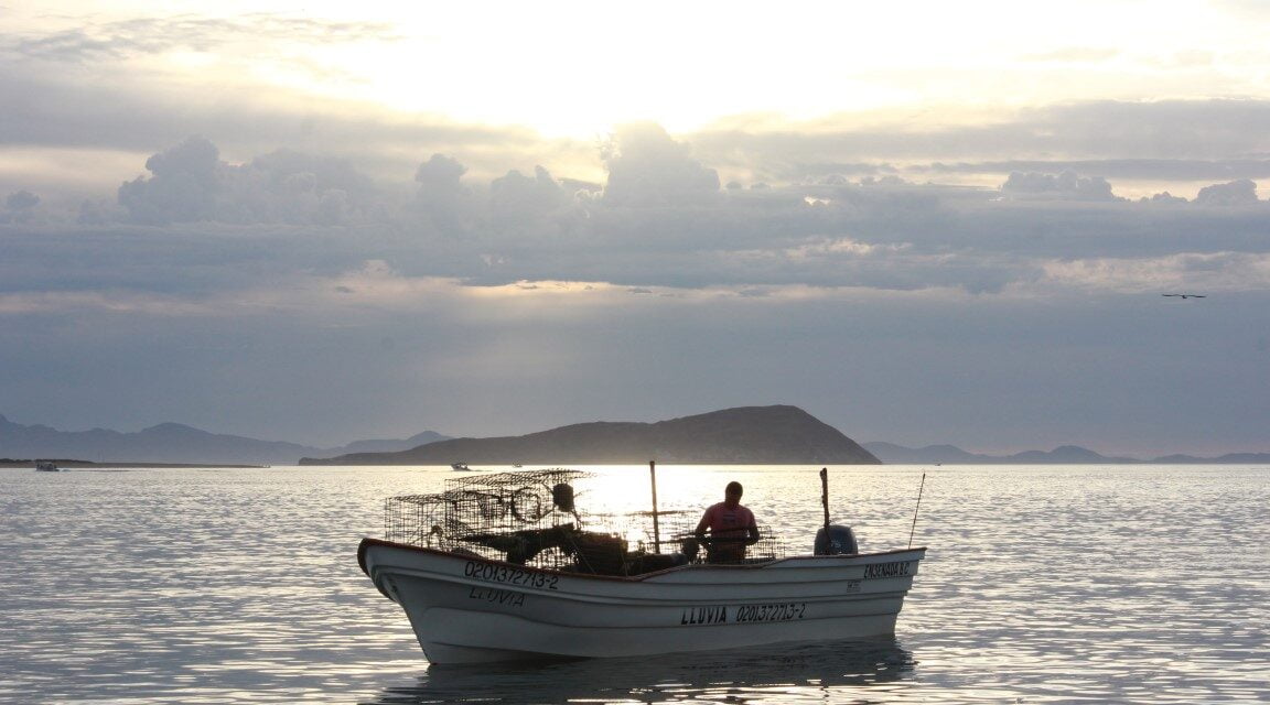 DEBEN PESCADORES EXTREMAR MEDIDAS DE SEGURIDAD