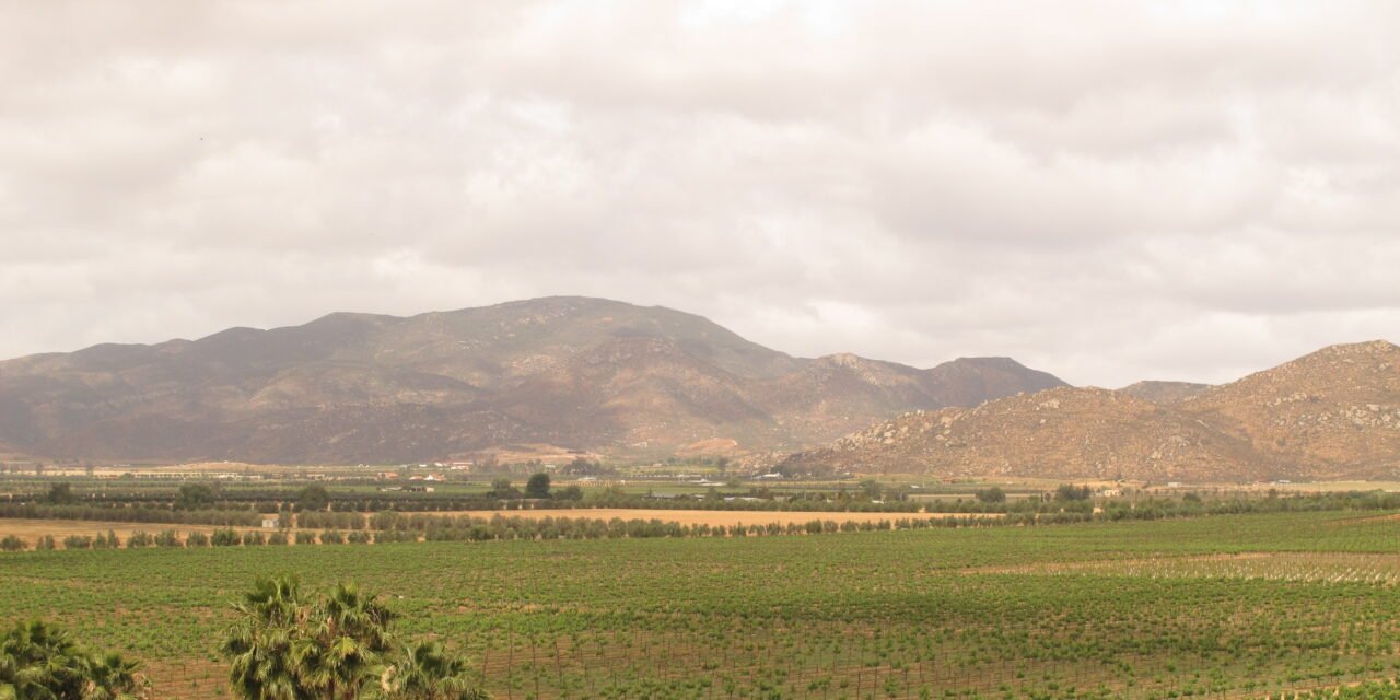 ES IMPORTANTE TENER EL MANIFIESTO DE IMPACTO AMBIENTAL