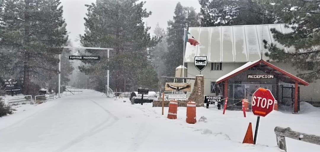 NEVADA EN PARQUE NACIONAL DE SAN PEDRO MÁRTIR