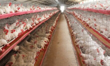 SE DEBEN REFORZAR MEDIDAS ZOOSANITARIAS EN BC