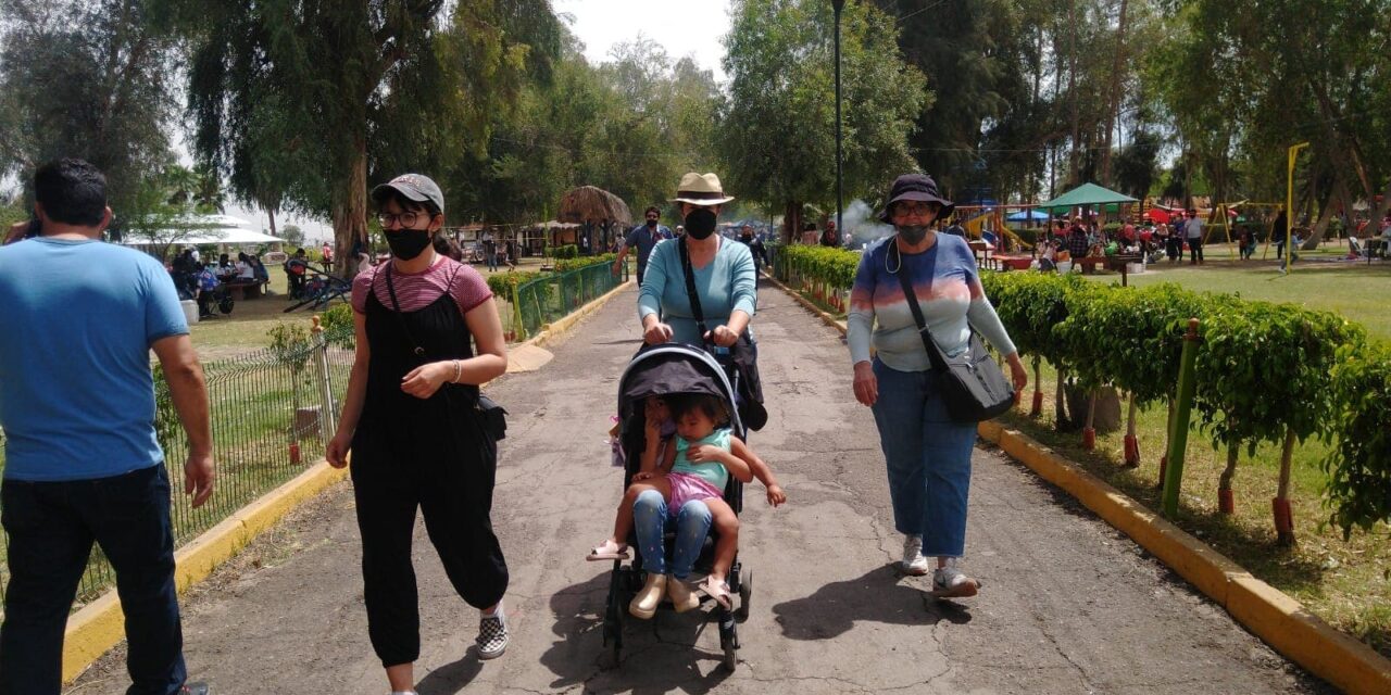 EL LUGAR PREFERIDO DE LOS CACHANILLAS 