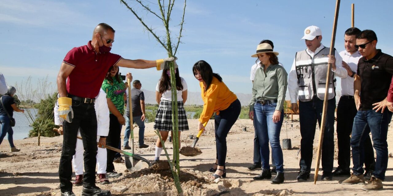 ACCIONES PARA LA CONSERVACIÓN DE LAGUNA MÉXICO EN MEXICALI 