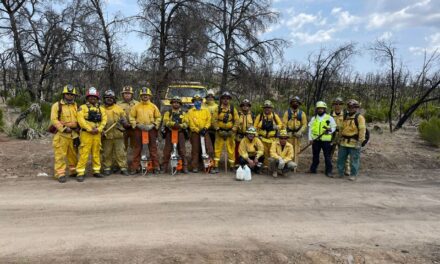 11 ELEMENTOS CAPACITADOS PARA ATENDER INCENDIOS FORESTALES EN BC