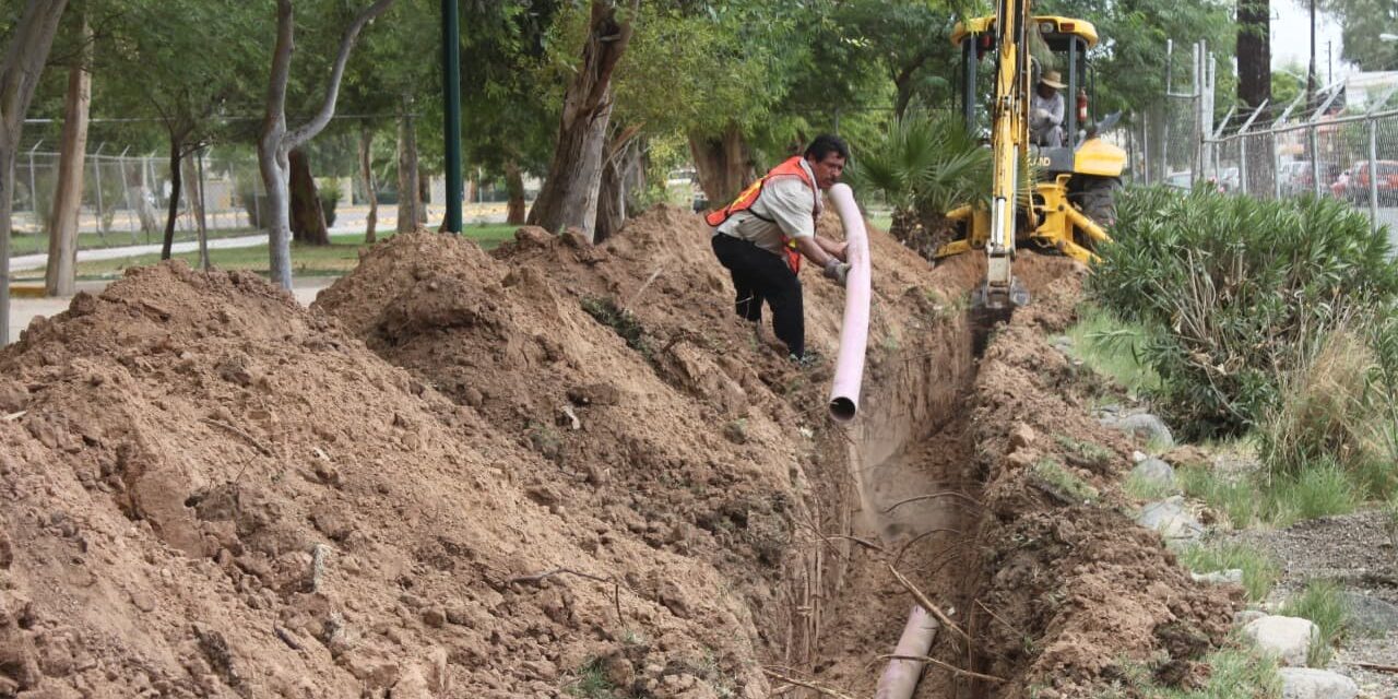 LÍNEA MORADA DISMINUYE EL IMPACTO AMBIENTAL NEGATIVO EN MEXICALI