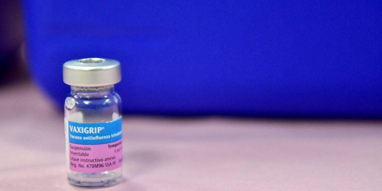 LOS BENEFICIOS DE LA VACUNA CONTRA LA INFLUENZA