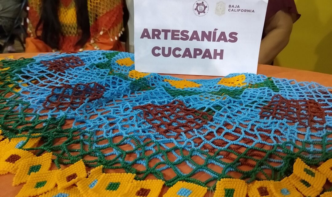 RECURSOS A 13 PROYECTOS DEL PROGRAMA DE APOYO A LAS CULTURAS MUNICIPALES Y COMUNITARIAS