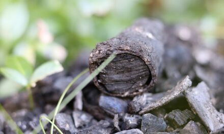 RECOMENDACIONES ANTE INVERSIÓN TÉRMICA EN BC