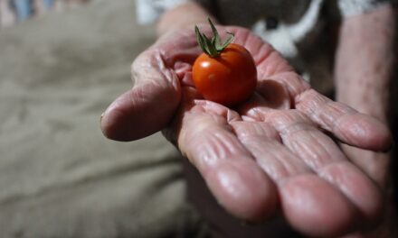 DIETA Y EJERCICIOS ANTE EFECTOS CRÓNICO-DEGENERATIVOS