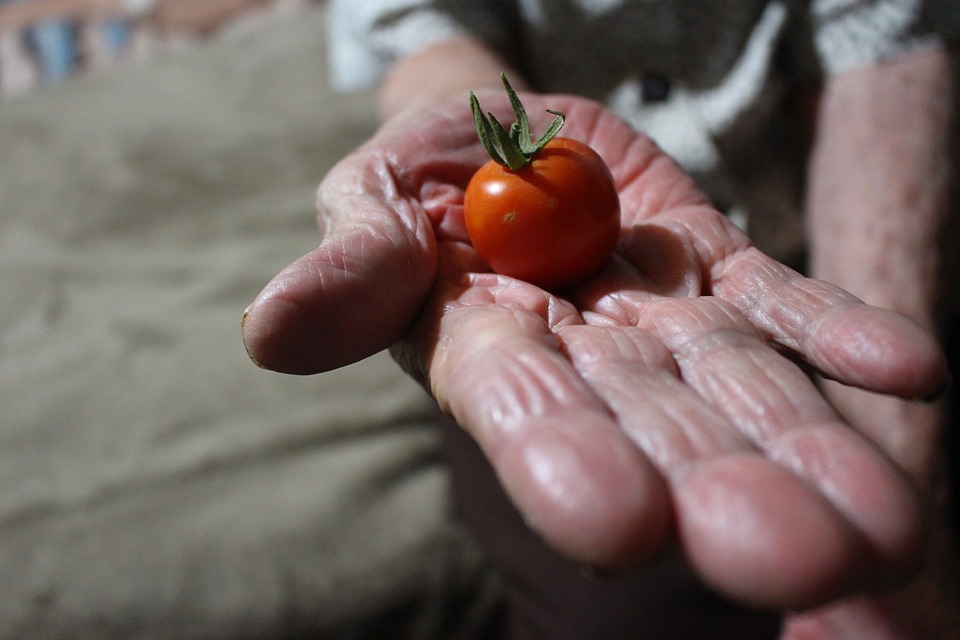 DIETA Y EJERCICIOS ANTE EFECTOS CRÓNICO-DEGENERATIVOS