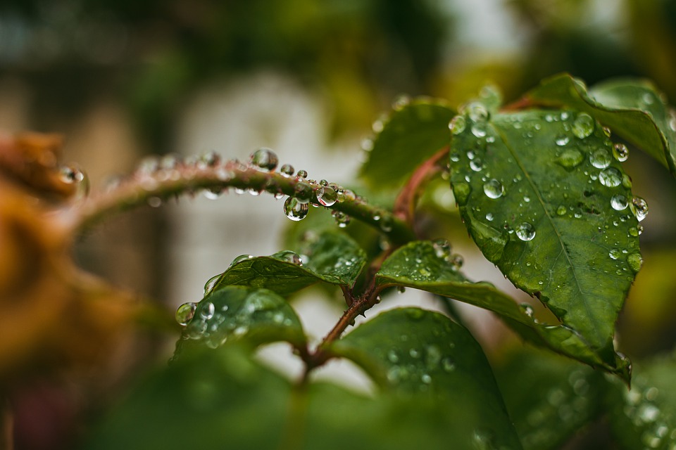SERÁ UN CIERRE DE AÑO CON LLUVIAS FUERTES EN BC