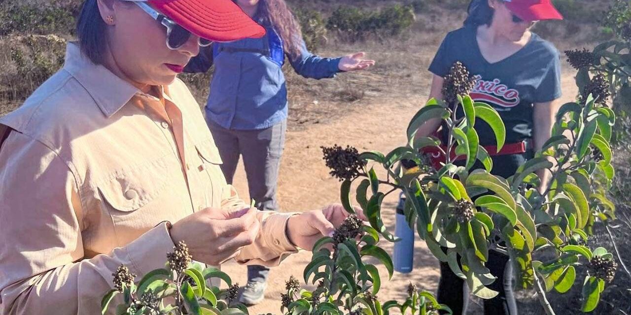 TRABAJAN EN PRO DE LA FLORA NATIVA DE BC