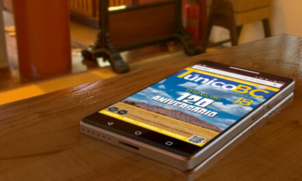 DISPONIBLE EN VERSIÓN DIGITAL O IMPRESA