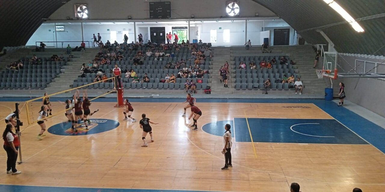COMIENZA CIRCUITO DE VOLEIBOL MENOR 2023 CON 65 EQUIPOS