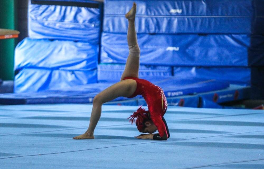 LO MEJOR DEL TALENTO EN GIMNASIA ARTÍSTICA